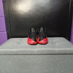 Air Jordan Retro 12 Flu Game