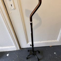 Cane 4-prong Sturdy Cane   FREE
