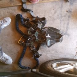 Miller Revolution Harness