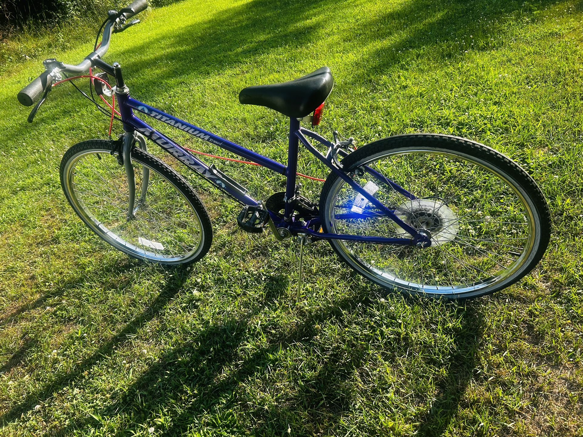 Murray 10 Speed Bike 26 Inch Titanium Bike Great Shape