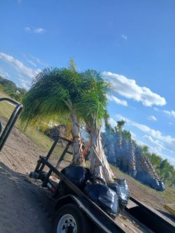 $375 Installed with year Warranty