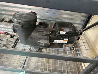 Hayward ecostar