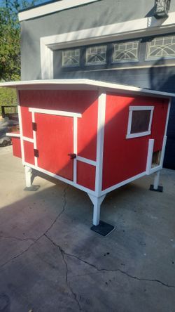 New chicken coop
