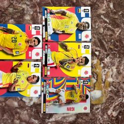 Panini adrenalyn XL WC 26 Cards Ecuador