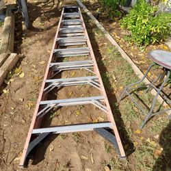 10 Foot Ladder 