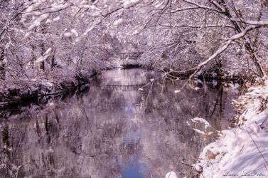 In the Rose Park Salt Lake City Trail
