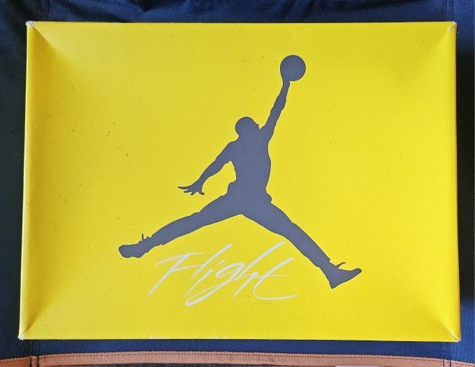 Air Jordan Retro 4 Lightning 