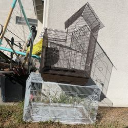 Bird Cages