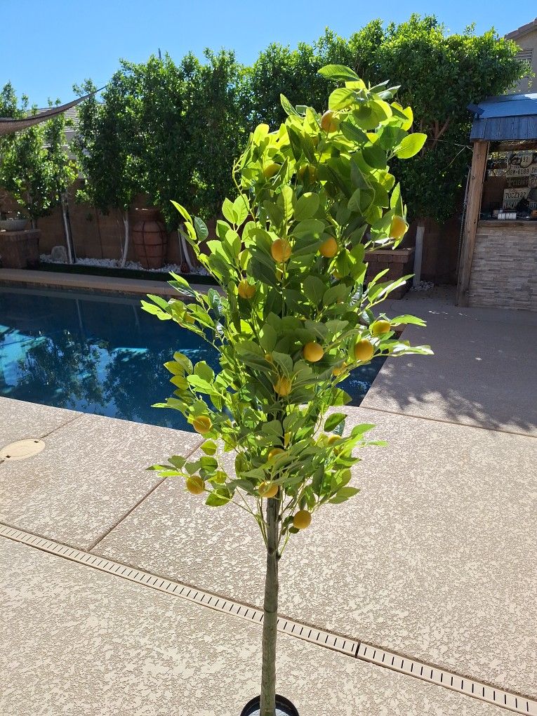 Artificial Lemon Tree