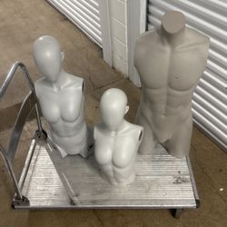 Mannequin Torsos