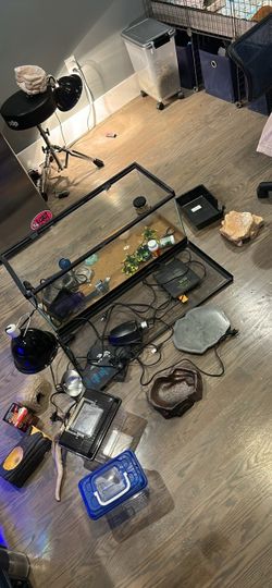 Reptile accessories and equipment