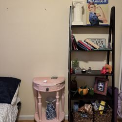 Ladder Shelf