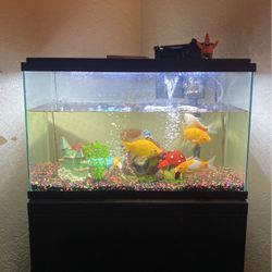 Fish tank WITH EVERYTHING SHOWN!