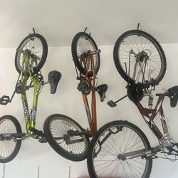 3 Bikes. 2 Youth And 1 Adult.