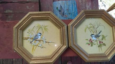 Vintage bird framed pics
