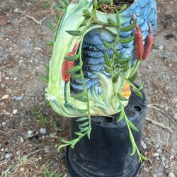 Plants De Banana En Un Pato 