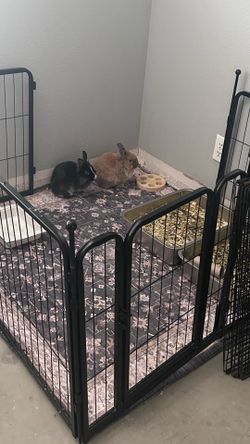 2 Bunny Playpen