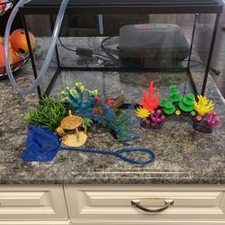 Fish Tank And Accessories 