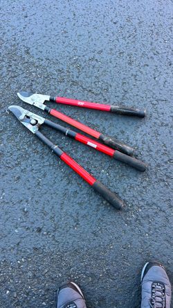 Pair of Extendable Handle Compound Action Bypass Loppers