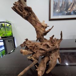 Very Large Aquarium Fish Reptile Driftwood