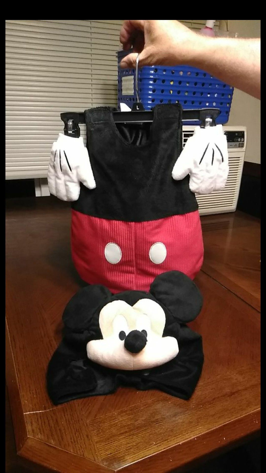 Micky mouse costume