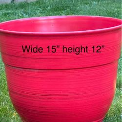 Big flowers pot