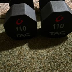 110 Dumbbells Pair 