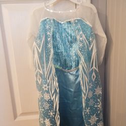 Frozen Dress Up