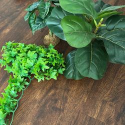 Artificial Plants For Reptile Enclosure