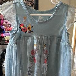 Disnep Dress Size 2t