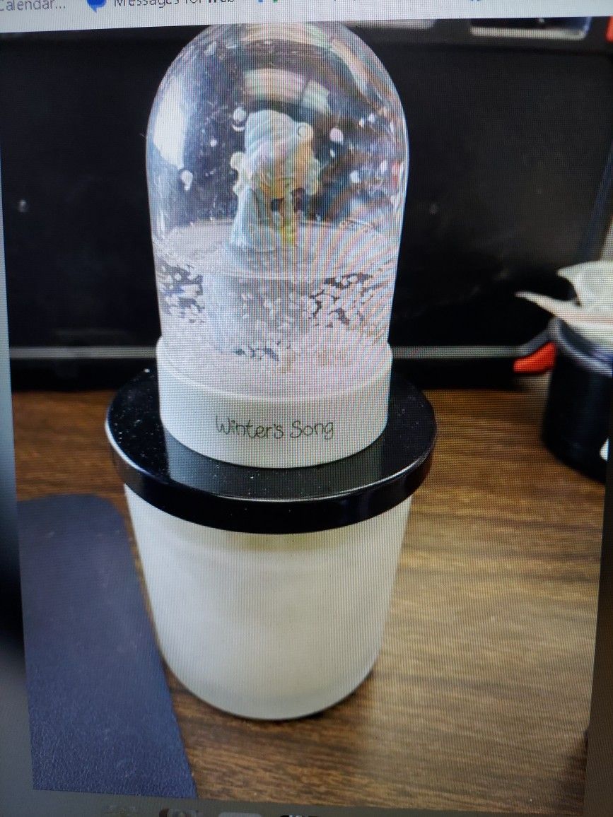 Precious Moments Snow Globes
