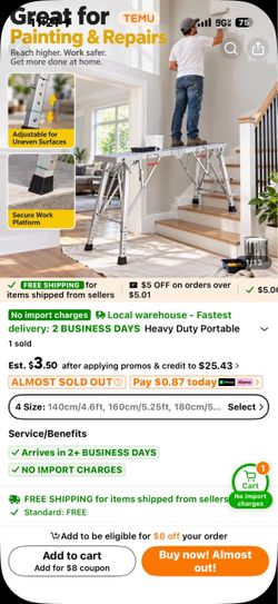 Metal ladder $20