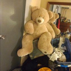 5ft Teddy Bear $30 Obo