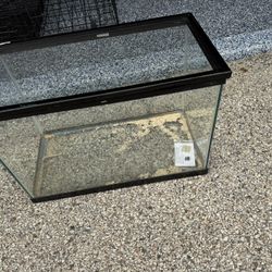 20 Gallon Tank 