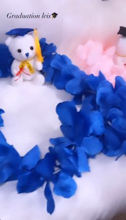 Graduation