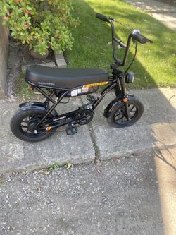 Schwinn Hurricane E-bike