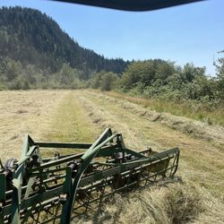 2024 Local Grass Hay