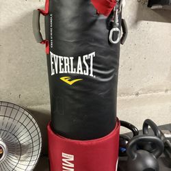 Punching Bag