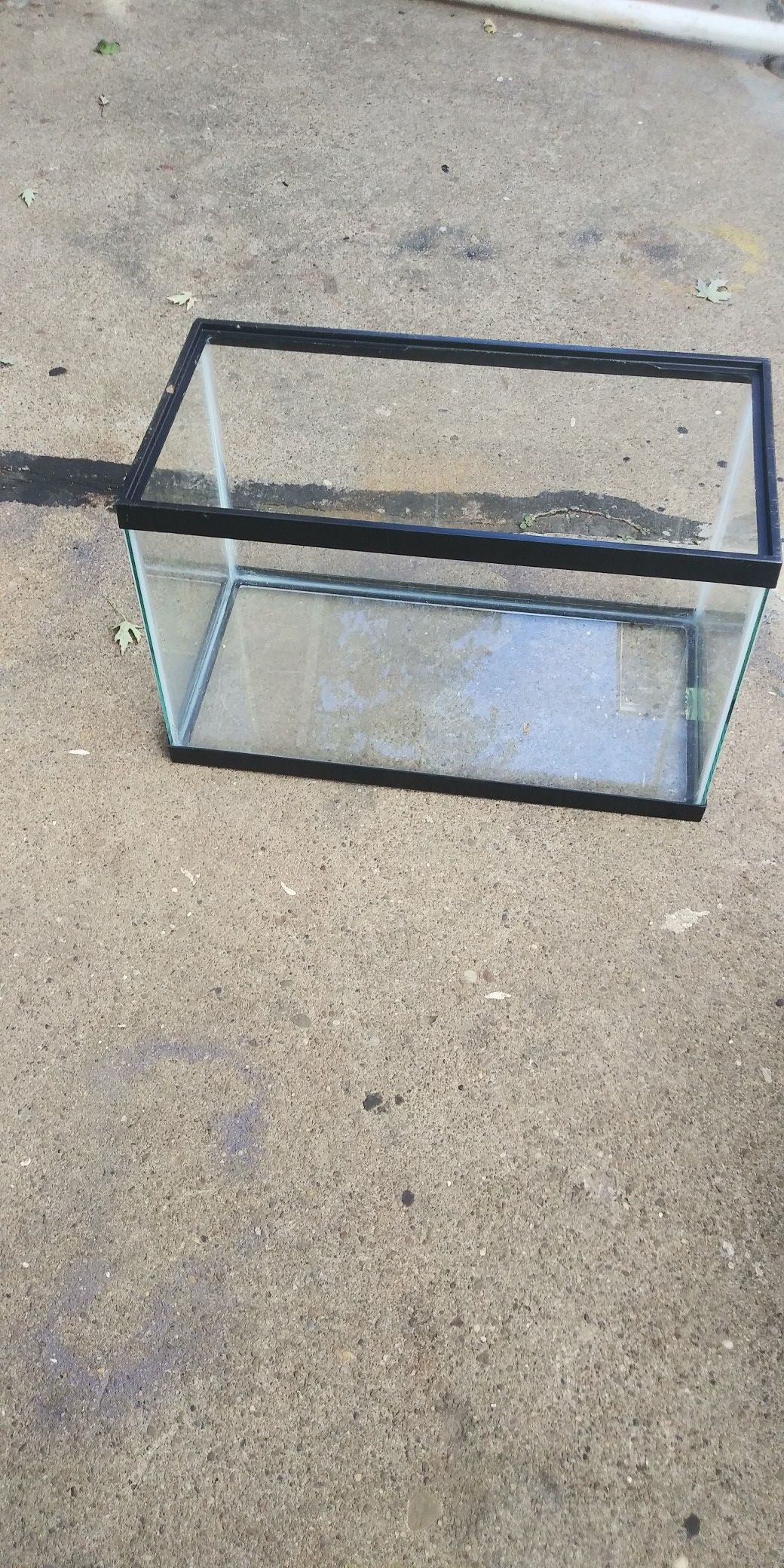 10 gallon tank