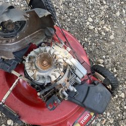 Push Mower 