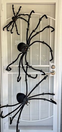 Halloween Spiders