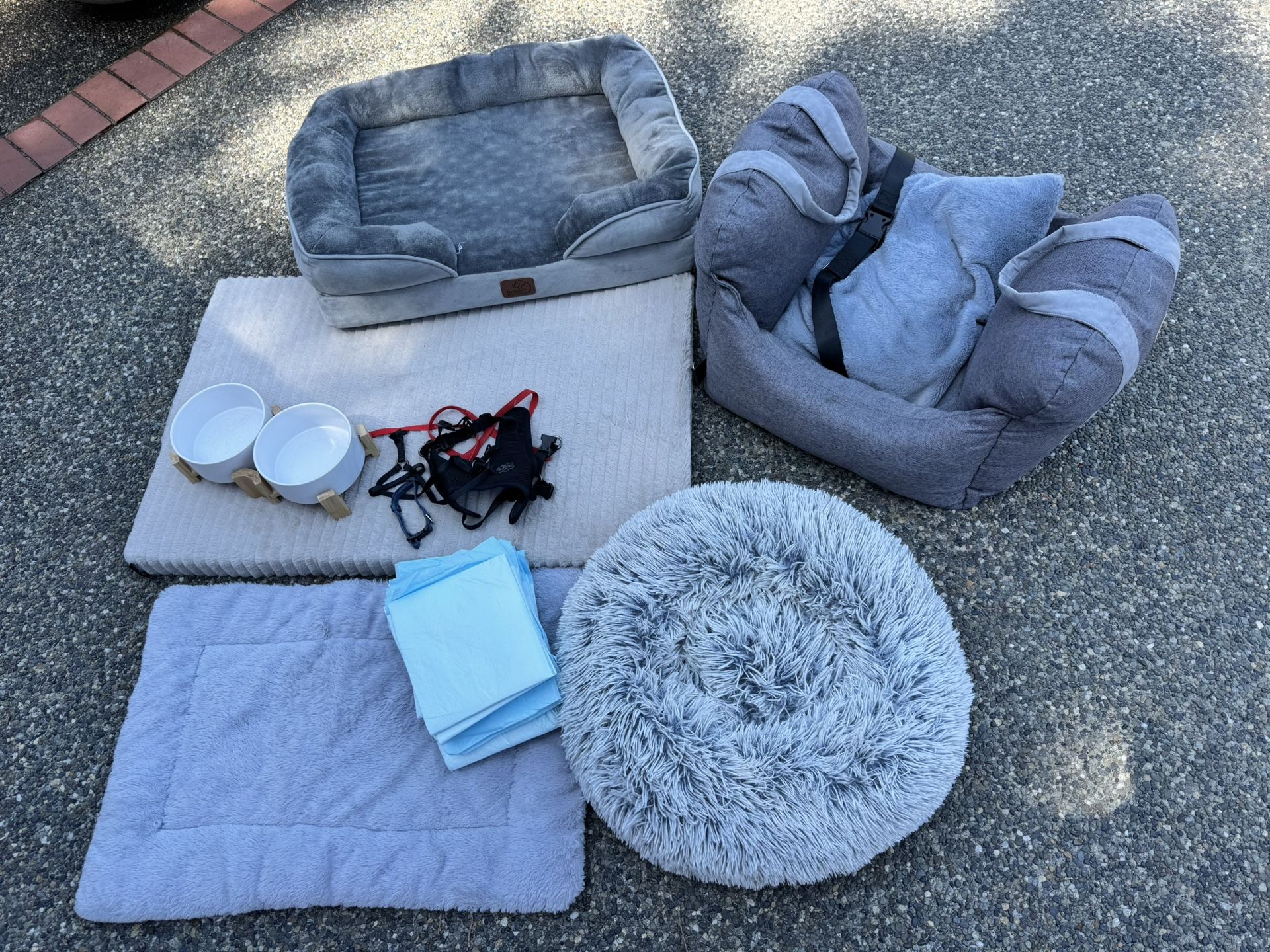 Puppy Starter Kit - 3 Beds, Leashes, Harnesses, Bowls, Buckle In Car seat
