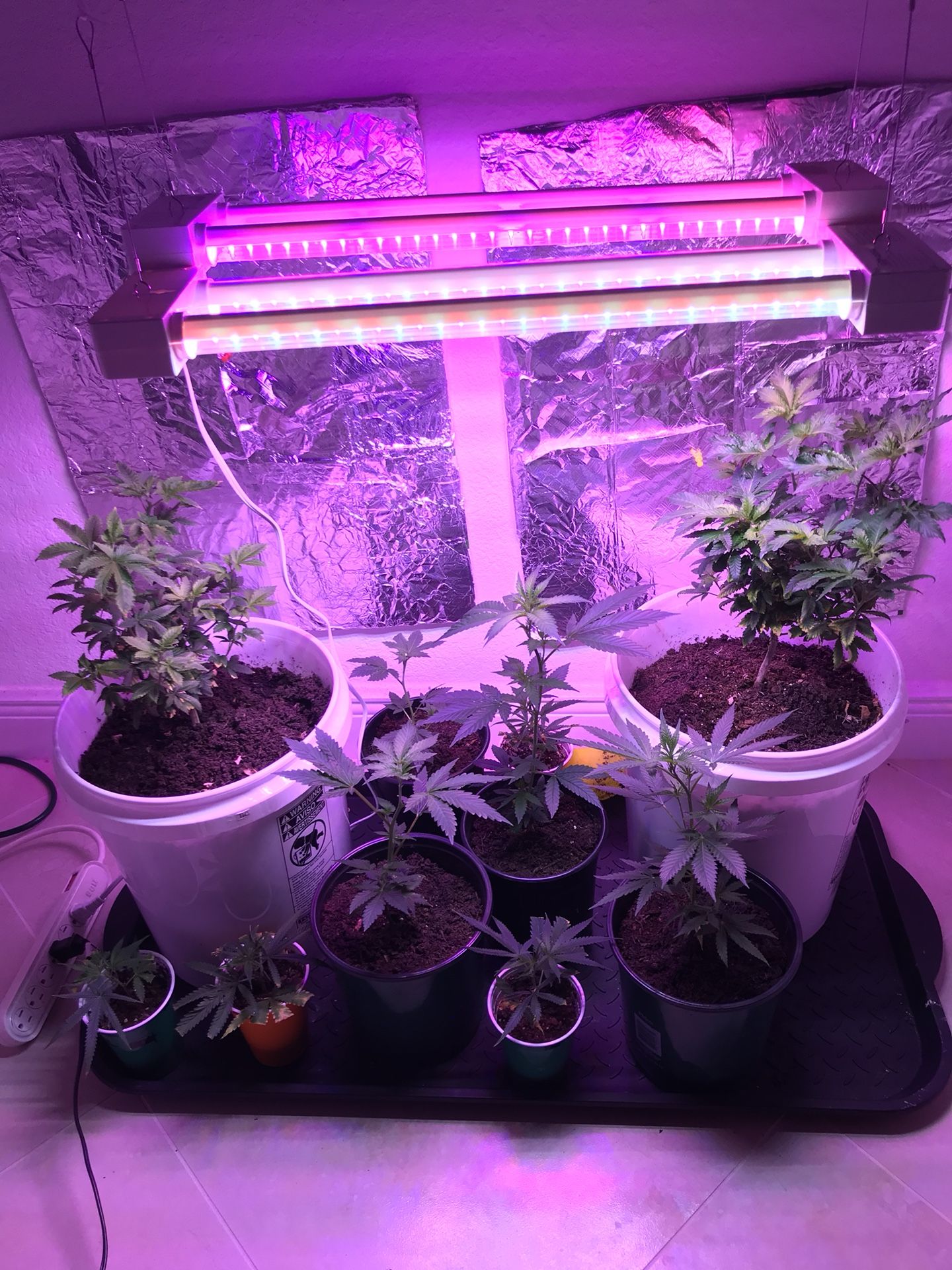 Grow lights