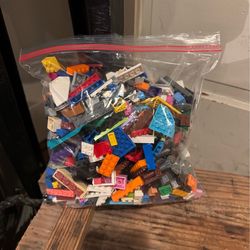 LEGO Gallon Size Bag.