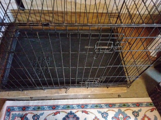 Dog Kennel