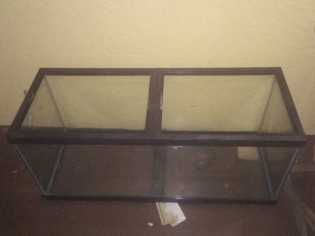 Fish Tank