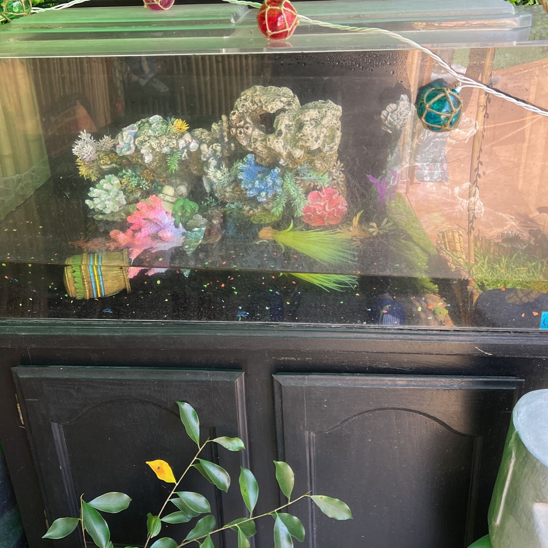 Fish Tank And Decor For Sale 