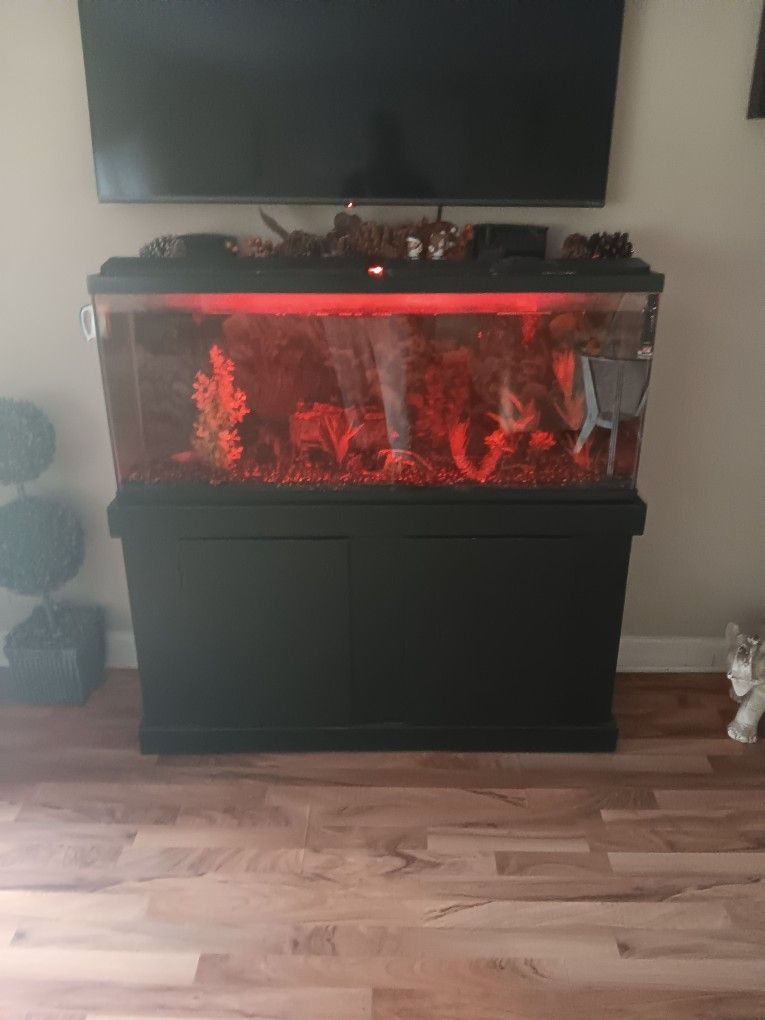 55 Gallon With Stand And Equipment 350