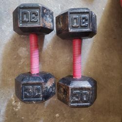 Set Of 30 Lbs Dumbbells
