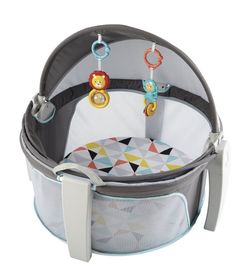 Fisher-Price On-the-Go Baby Dome - Windmill